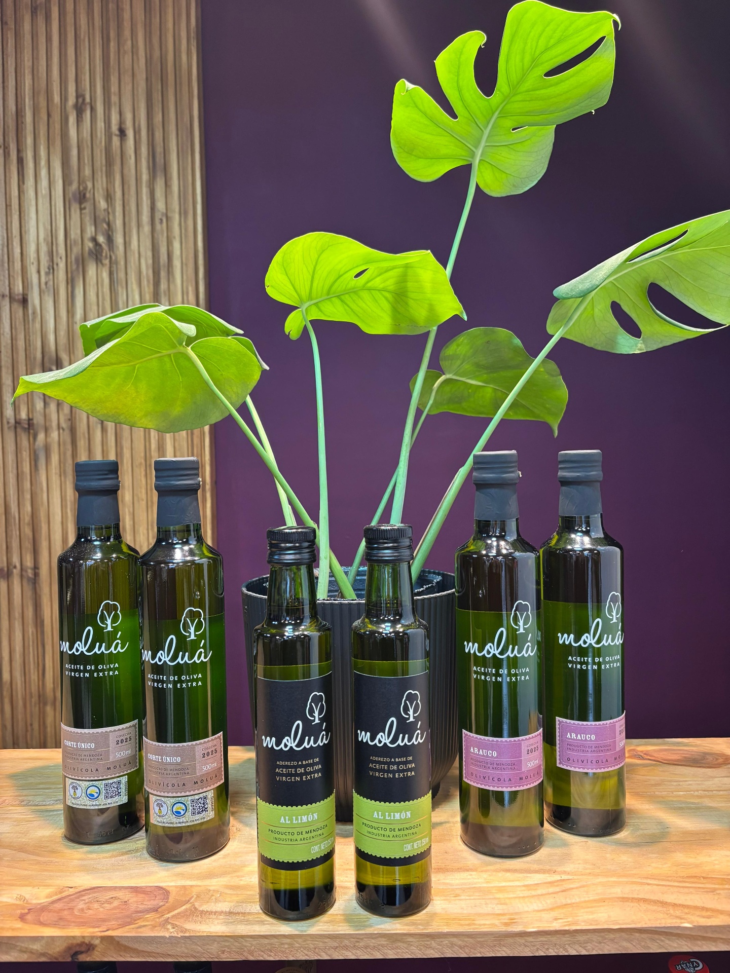 Aceites de oliva Moluá · Mendoza